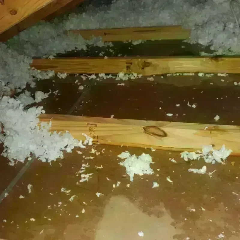 Attic Water Damage in Brookfield, MO