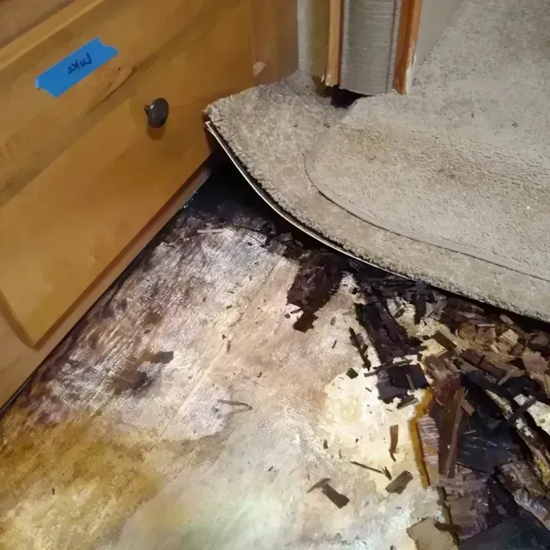 Best Wood Floor Water Damage Service in Brookfield, MO